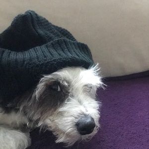 Black knit beanie.